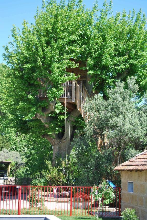 Villa Les Volets Bleus Provence Salon-de-Provence Exterior foto